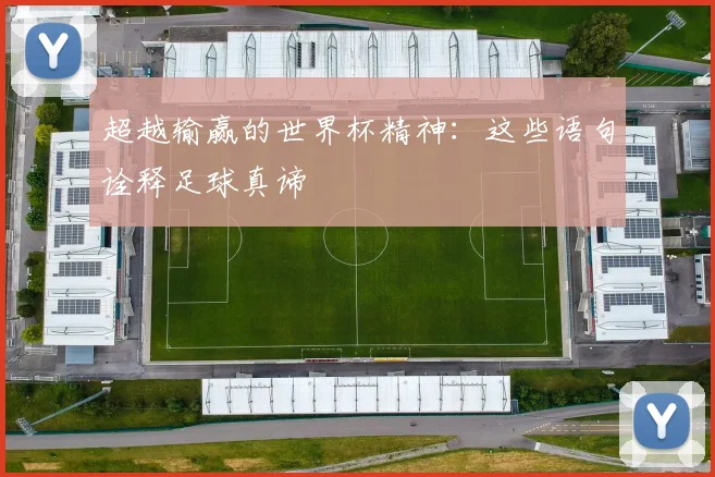超越输赢的世界杯精神：这些语句诠释足球真谛